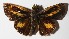  ( - 15-SRNP-237)  @14 [ ] CreativeCommons  Attribution Non-Commercial Share-Alike (2016) Unspecified Guanacaste Dry Forest Conservation Fund