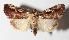  ( - 15-SRNP-30401)  @14 [ ] CreativeCommons  Attribution Non-Commercial Share-Alike (2016) Unspecified Guanacaste Dry Forest Conservation Fund