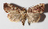  ( - 15-SRNP-30444)  @14 [ ] CreativeCommons  Attribution Non-Commercial Share-Alike (2016) Unspecified Guanacaste Dry Forest Conservation Fund