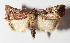  ( - 15-SRNP-30446)  @14 [ ] CreativeCommons  Attribution Non-Commercial Share-Alike (2016) Unspecified Guanacaste Dry Forest Conservation Fund