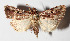  ( - 15-SRNP-30461)  @14 [ ] CreativeCommons  Attribution Non-Commercial Share-Alike (2016) Unspecified Guanacaste Dry Forest Conservation Fund
