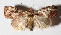  ( - 15-SRNP-30462)  @14 [ ] CreativeCommons  Attribution Non-Commercial Share-Alike (2016) Unspecified Guanacaste Dry Forest Conservation Fund