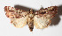  ( - 15-SRNP-30468)  @14 [ ] CreativeCommons  Attribution Non-Commercial Share-Alike (2016) Unspecified Guanacaste Dry Forest Conservation Fund