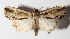  ( - 15-SRNP-30471)  @14 [ ] CreativeCommons  Attribution Non-Commercial Share-Alike (2016) Unspecified Guanacaste Dry Forest Conservation Fund