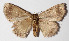  ( - 15-SRNP-30487)  @11 [ ] CreativeCommons  Attribution Non-Commercial Share-Alike (2016) Unspecified Guanacaste Dry Forest Conservation Fund