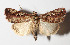  ( - 15-SRNP-30489)  @14 [ ] CreativeCommons  Attribution Non-Commercial Share-Alike (2016) Unspecified Guanacaste Dry Forest Conservation Fund