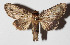  ( - 15-SRNP-30516)  @14 [ ] CreativeCommons  Attribution Non-Commercial Share-Alike (2016) Unspecified Guanacaste Dry Forest Conservation Fund
