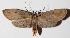  ( - 15-SRNP-30523)  @14 [ ] CreativeCommons  Attribution Non-Commercial Share-Alike (2016) Unspecified Guanacaste Dry Forest Conservation Fund