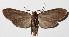  ( - 15-SRNP-30523)  @14 [ ] CreativeCommons  Attribution Non-Commercial Share-Alike (2016) Unspecified Guanacaste Dry Forest Conservation Fund