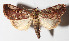  ( - 15-SRNP-30528)  @14 [ ] CreativeCommons  Attribution Non-Commercial Share-Alike (2016) Unspecified Guanacaste Dry Forest Conservation Fund