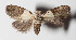  ( - 15-SRNP-30605)  @11 [ ] CreativeCommons  Attribution Non-Commercial Share-Alike (2016) Unspecified Guanacaste Dry Forest Conservation Fund