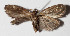  ( - 15-SRNP-30605)  @11 [ ] CreativeCommons  Attribution Non-Commercial Share-Alike (2016) Unspecified Guanacaste Dry Forest Conservation Fund
