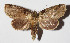 ( - 15-SRNP-30687)  @14 [ ] CreativeCommons  Attribution Non-Commercial Share-Alike (2016) Unspecified Guanacaste Dry Forest Conservation Fund