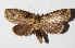  ( - 15-SRNP-30692)  @14 [ ] CreativeCommons  Attribution Non-Commercial Share-Alike (2016) Unspecified Guanacaste Dry Forest Conservation Fund