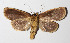  ( - 15-SRNP-30692)  @14 [ ] CreativeCommons  Attribution Non-Commercial Share-Alike (2016) Unspecified Guanacaste Dry Forest Conservation Fund