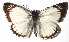  ( - 15-SRNP-30805)  @14 [ ] CreativeCommons  Attribution Non-Commercial Share-Alike (2016) Unspecified Guanacaste Dry Forest Conservation Fund