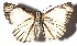  ( - 15-SRNP-30805)  @14 [ ] CreativeCommons  Attribution Non-Commercial Share-Alike (2016) Unspecified Guanacaste Dry Forest Conservation Fund