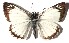  ( - 15-SRNP-30811)  @14 [ ] CreativeCommons  Attribution Non-Commercial Share-Alike (2016) Unspecified Guanacaste Dry Forest Conservation Fund
