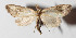  ( - 15-SRNP-30890)  @11 [ ] CreativeCommons  Attribution Non-Commercial Share-Alike (2016) Unspecified Guanacaste Dry Forest Conservation Fund