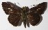  ( - 15-SRNP-45155)  @13 [ ] CreativeCommons  Attribution Non-Commercial Share-Alike (2016) Unspecified Guanacaste Dry Forest Conservation Fund