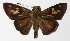  ( - 15-SRNP-45397)  @14 [ ] CreativeCommons  Attribution Non-Commercial Share-Alike (2016) Unspecified Guanacaste Dry Forest Conservation Fund