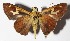  ( - 15-SRNP-45397)  @14 [ ] CreativeCommons  Attribution Non-Commercial Share-Alike (2016) Unspecified Guanacaste Dry Forest Conservation Fund