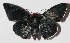  ( - 15-SRNP-497)  @14 [ ] CreativeCommons  Attribution Non-Commercial Share-Alike (2016) Unspecified Guanacaste Dry Forest Conservation Fund