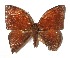  ( - 15-SRNP-56034)  @13 [ ] CreativeCommons  Attribution Non-Commercial Share-Alike (2017) Daniel H. Janzen Guanacaste Dry Forest Conservation Fund