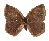  ( - 15-SRNP-56182)  @13 [ ] CreativeCommons  Attribution Non-Commercial Share-Alike (2017) Daniel H. Janzen Guanacaste Dry Forest Conservation Fund