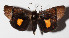  ( - 15-SRNP-592)  @14 [ ] CreativeCommons  Attribution Non-Commercial Share-Alike (2016) Unspecified Guanacaste Dry Forest Conservation Fund