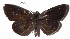  ( - 15-SRNP-65094)  @13 [ ] CreativeCommons  Attribution Non-Commercial Share-Alike (2016) Unspecified Guanacaste Dry Forest Conservation Fund