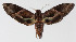  ( - 15-SRNP-70100)  @14 [ ] CreativeCommons  Attribution Non-Commercial Share-Alike (2016) Unspecified Guanacaste Dry Forest Conservation Fund
