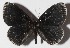  ( - 15-SRNP-70564)  @14 [ ] CreativeCommons  Attribution Non-Commercial Share-Alike (2016) Unspecified Guanacaste Dry Forest Conservation Fund