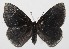  ( - 15-SRNP-70594)  @14 [ ] CreativeCommons  Attribution Non-Commercial Share-Alike (2016) Unspecified Guanacaste Dry Forest Conservation Fund