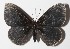  ( - 15-SRNP-70595)  @14 [ ] CreativeCommons  Attribution Non-Commercial Share-Alike (2016) Unspecified Guanacaste Dry Forest Conservation Fund