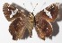  ( - 15-SRNP-70783)  @11 [ ] CreativeCommons  Attribution Non-Commercial Share-Alike (2016) Unspecified Guanacaste Dry Forest Conservation Fund