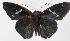  ( - 15-SRNP-70892)  @13 [ ] CreativeCommons  Attribution Non-Commercial Share-Alike (2016) Unspecified Guanacaste Dry Forest Conservation Fund