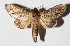  ( - 15-SRNP-75119)  @14 [ ] CreativeCommons  Attribution Non-Commercial Share-Alike (2016) Unspecified Guanacaste Dry Forest Conservation Fund