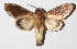 ( - 15-SRNP-75119)  @14 [ ] CreativeCommons  Attribution Non-Commercial Share-Alike (2016) Unspecified Guanacaste Dry Forest Conservation Fund
