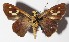  ( - 15-SRNP-75172)  @14 [ ] CreativeCommons  Attribution Non-Commercial Share-Alike (2016) Unspecified Guanacaste Dry Forest Conservation Fund