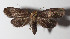  ( - 15-SRNP-75184)  @14 [ ] CreativeCommons  Attribution Non-Commercial Share-Alike (2016) Unspecified Guanacaste Dry Forest Conservation Fund