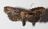  ( - 15-SRNP-75187)  @14 [ ] CreativeCommons  Attribution Non-Commercial Share-Alike (2016) Unspecified Guanacaste Dry Forest Conservation Fund