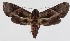  ( - 15-SRNP-75233)  @14 [ ] CreativeCommons  Attribution Non-Commercial Share-Alike (2016) Unspecified Guanacaste Dry Forest Conservation Fund
