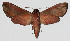  ( - 15-SRNP-75233)  @14 [ ] CreativeCommons  Attribution Non-Commercial Share-Alike (2016) Unspecified Guanacaste Dry Forest Conservation Fund