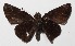  ( - 15-SRNP-803)  @14 [ ] CreativeCommons  Attribution Non-Commercial Share-Alike (2016) Unspecified Guanacaste Dry Forest Conservation Fund