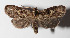  ( - 15-SRNP-900)  @14 [ ] CreativeCommons  Attribution Non-Commercial Share-Alike (2016) Unspecified Guanacaste Dry Forest Conservation Fund