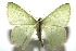  ( - 16-SRNP-102271)  @13 [ ] CreativeCommons  Attribution Non-Commercial Share-Alike (2017) Daniel H. Janzen Guanacaste Dry Forest Conservation Fund