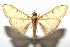  ( - 16-SRNP-102425)  @13 [ ] CreativeCommons  Attribution Non-Commercial Share-Alike (2017) Daniel H. Janzen Guanacaste Dry Forest Conservation Fund
