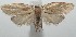  ( - 16-SRNP-102681)  @14 [ ] CreativeCommons  Attribution Non-Commercial Share-Alike (2017) Daniel H. Janzen Guanacaste Dry Forest Conservation Fund