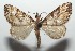  ( - 16-SRNP-102706)  @14 [ ] CreativeCommons  Attribution Non-Commercial Share-Alike (2017) Daniel H. Janzen Guanacaste Dry Forest Conservation Fund